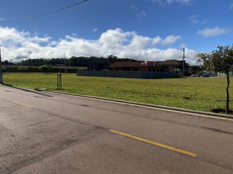 Terreno Para Venda Em Ponta Grossa, Alphaville