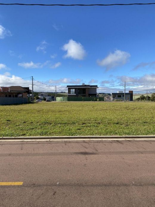 Terreno Para Venda Em Ponta Grossa, Alphaville