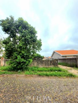 Terreno Para Venda Em Ponta Grossa - Jardim Carvalho