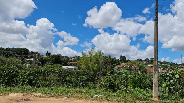 Lote Esquina - Vila Estrela- Jd. America