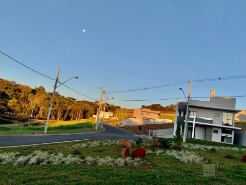 Terreno à Venda Condomínio Vale Dos Vinhedos