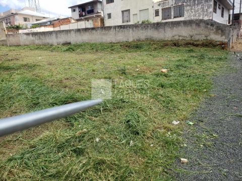 Terreno à Venda - Centro - Próx. Uepg