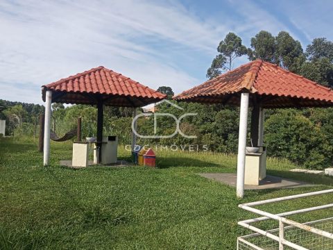 ótimo Apartamento No órfãs