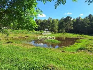 Foto Imóvel - Chácara Com 7000m² Na Colônia Dona Luiza