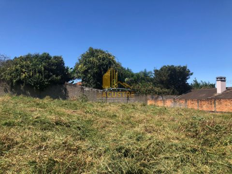 Excelente Terreno Em Carambeí