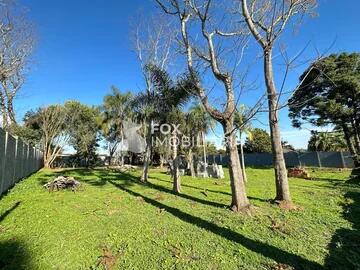 Foto Imóvel - Terreno à Venda Colônia Dona Luiza, Próx. Ao Bairro Oficinas