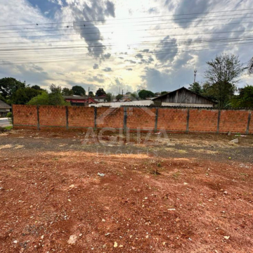 Terreno Na Colônia Dona Luiza