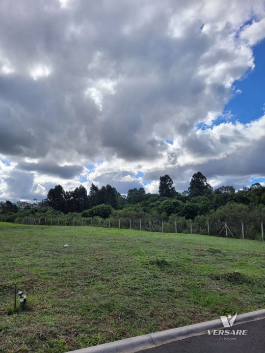 Terreno à Venda No Condomínio Ecoville Ii