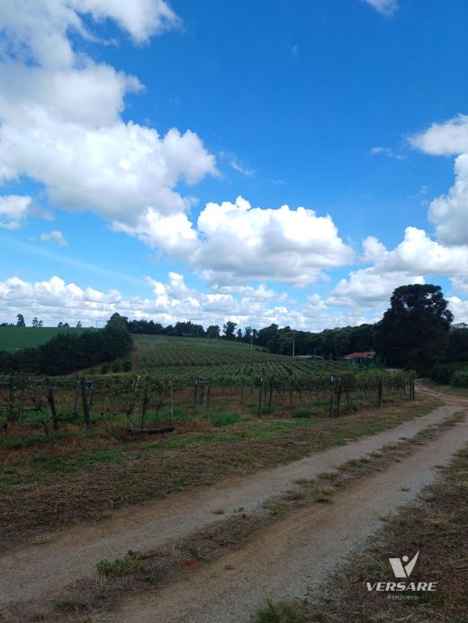 Foto Imóvel - Chácara à Venda Em Guaragi