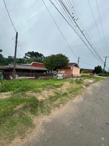 Foto Imóvel - Terreno Palmeirinha- Nova Rússia