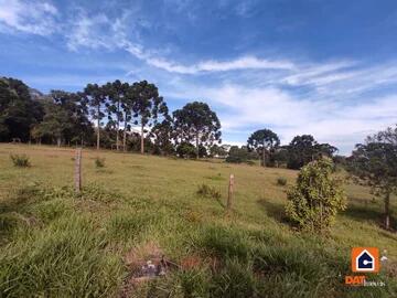 Foto Imóvel - Chácara à Venda No Cristo Rei