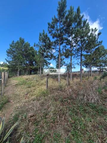 Foto Imóvel - Terreno à Venda Na Vila Ernestina