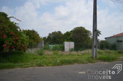 Foto Imóvel - Terreno Urbano Amplo Com Excelente Localização