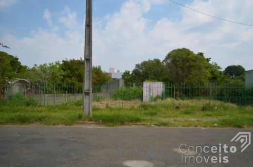 Terreno Urbano Amplo Com Excelente Localização