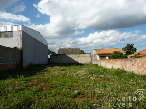 <strong>Terreno - Vila São Francisco - Bairro Uvaranas</strong>