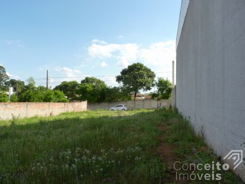 Terreno - Vila São Francisco - Bairro Uvaranas