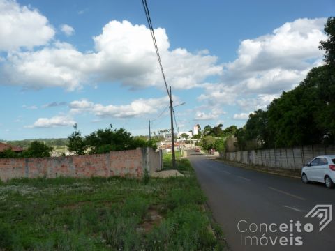 Terreno - Vila São Francisco - Bairro Uvaranas