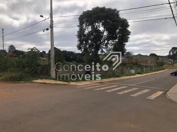 Foto Imóvel - Terreno - Vila São Francisco - Uvaranas