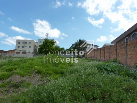 Terreno De 462,00 M² - Uvaranas