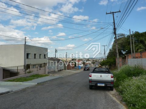 Terreno De 462,00 M² - Uvaranas