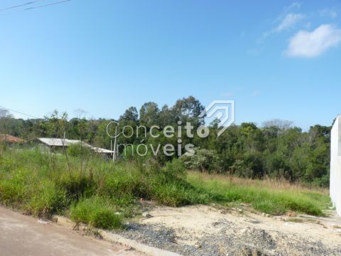 Terreno De Esquina - Cará-cará