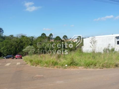 Terreno De Esquina - Cará-cará