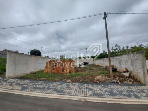 Residencial Van Wilpe - Jardim Carvalho - Terreno