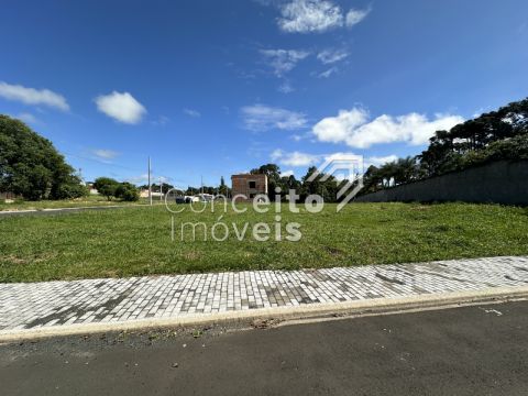 Condomínio Van Wilpe - Jardim Carvalho - Terreno