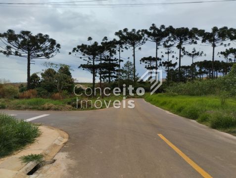 Residência - Cara Cará - Campo Bello Ii