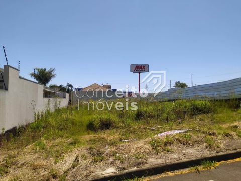 <strong>Terreno - Jardim Carvalho</strong>