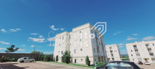 Foto Imóvel - Condomínio Residencial Campo Alegre - Uvaranas - Apartamento