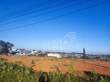 Foto Imóvel - Terreno - Jardim Das Cerejeiras - Colônia Dona Luiza