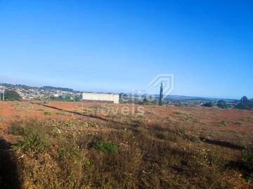 Foto Imóvel - Terreno De Esquina - Colônia Dona Luiza