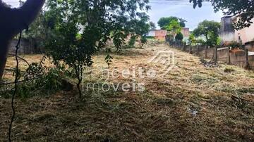 Foto Imóvel - Terreno Com 500m² - órfãs