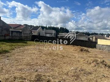 Foto Imóvel - Terreno Com 374,26m² - Parque Vida Sadia - Neves