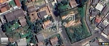 Foto Imóvel - Terreno  Com 968,91 M² - Estrela
