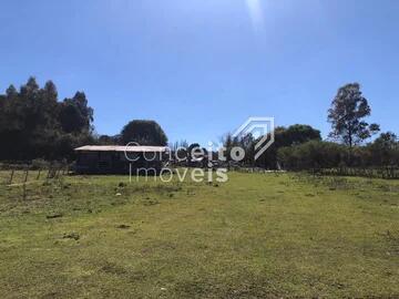 Foto Imóvel - Terreno - Uvaranas - Cara Cará