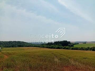 Foto Imóvel - Terreno 24.000 M² - Bairro Piriquitos