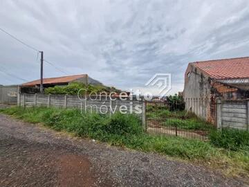 Foto Imóvel - Terreno Com 300m² - Uvaranas