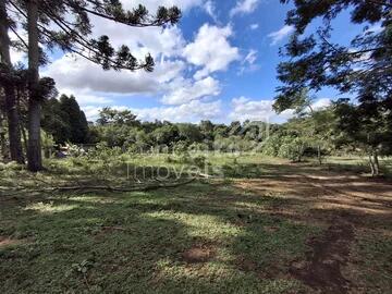 Foto Imóvel - Terreno Plano Com 2.300m² - Carambeí