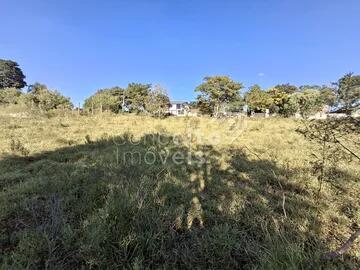 Foto Imóvel - Terreno Com 2.000m² - Colônia Dona Luiza