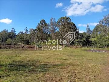 Foto Imóvel - Terreno Com 23.772 M² - Colônia Dona Luiza