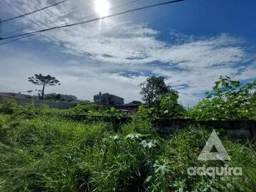 Foto Imóvel - Terreno à Venda 490m², Oficinas, Ponta Grossa - Pr