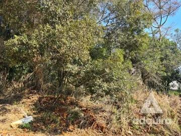 Foto Imóvel - Terreno à Venda 424.3m², Estrela, Ponta Grossa - Pr