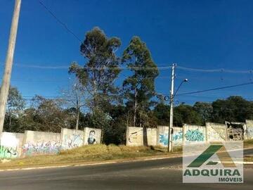 Foto Imóvel - Terreno à Venda Medindo 11320m², No Jardim Carvalho, Ponta G
