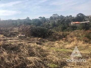 Foto Imóvel - Terreno à Venda 348.34m², Chapada, Ponta Grossa - Pr