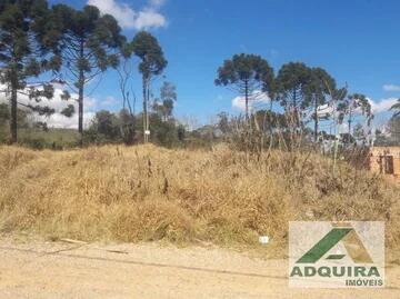Foto Imóvel - Terreno à Venda 361.96m², Colônia Dona Luíza