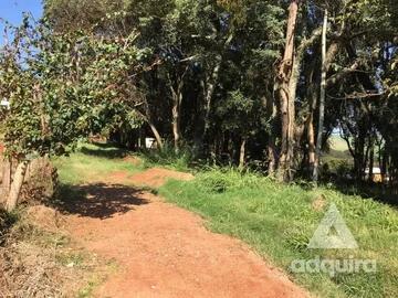 Foto Imóvel - Terreno à Venda 1716m², Centro, Carambeí - Pr