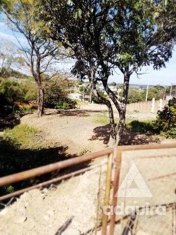 Foto Imóvel - Terreno à Venda 658m², Olarias, Ponta Grossa - Pr