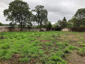 Foto Imóvel - Terreno à Venda, Cará-cará, Ponta Grossa, Pr